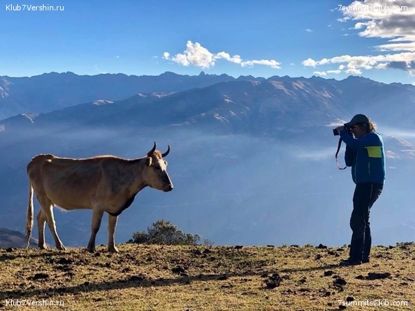 ��������� 2018. �� ����� ��������, ���� 22