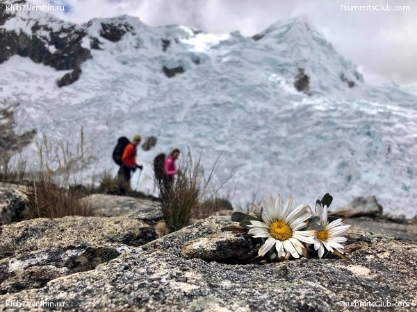 ��������� 2018. �� ����� ��������, ���� 30