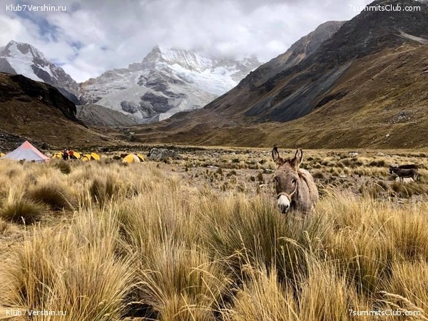 ��������� 2018. �� ����� ��������, ���� 41