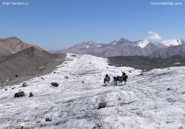 ��� ������ 2018  �� ����� ����������, ���� 46