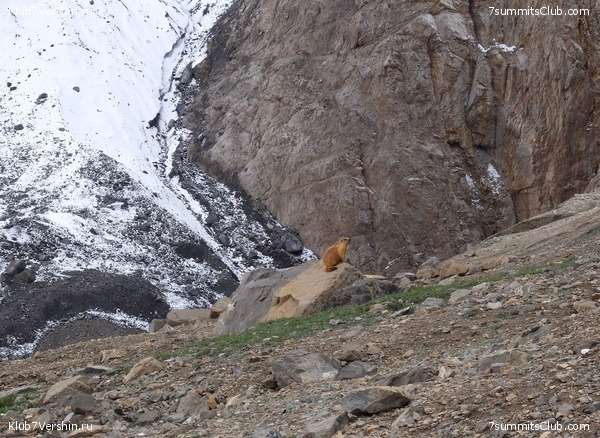 ��� ������ 2018  �� ����� ����������, ���� 105