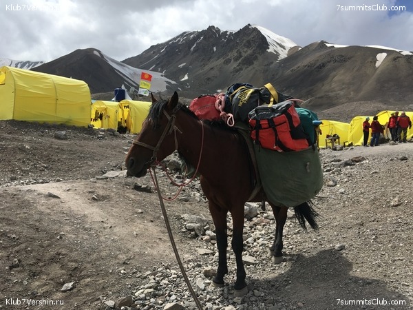 ��� ������ 2018  �� ����� ����������, ���� 199