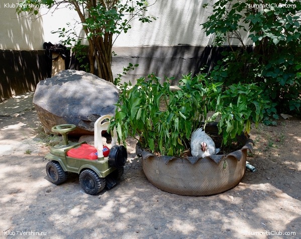 ��� ������ 2018  �� ����� ����������, ���� 257