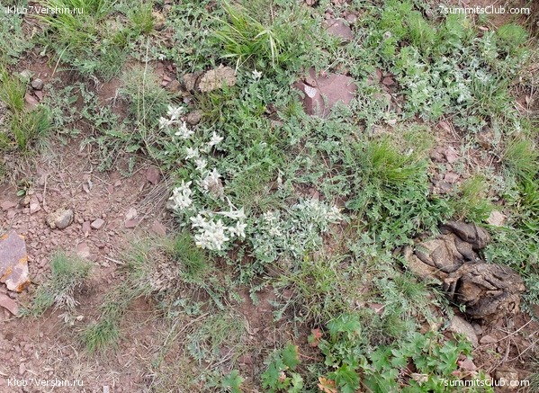 ��� ������ 2018  �� ����� ����������, ���� 100