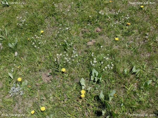 ��� ������ 2018  �� ����� ����������, ���� 132