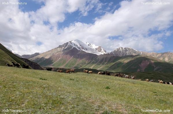 ��� ������ 2018  �� ����� ����������, ���� 15