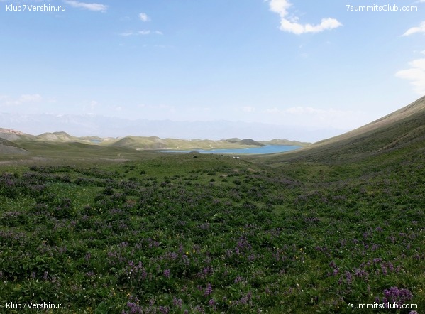 ��� ������ 2018  �� ����� ����������, ���� 113