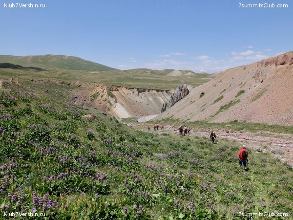 ��� ������ 2018  �� ����� ����������, ���� 222