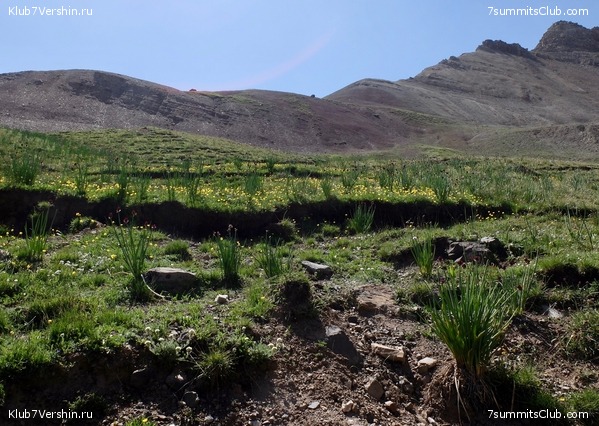 ��� ������ 2018  �� ����� ����������, ���� 71