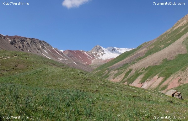 ��� ������ 2018  �� ����� ����������, ���� 5