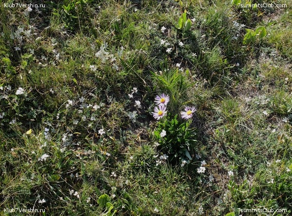 ��� ������ 2018  �� ����� ����������, ���� 114