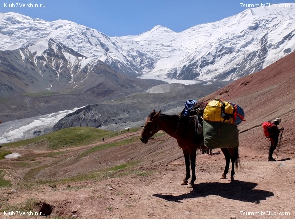 ��� ������ 2018  �� ����� ����������, ���� 133