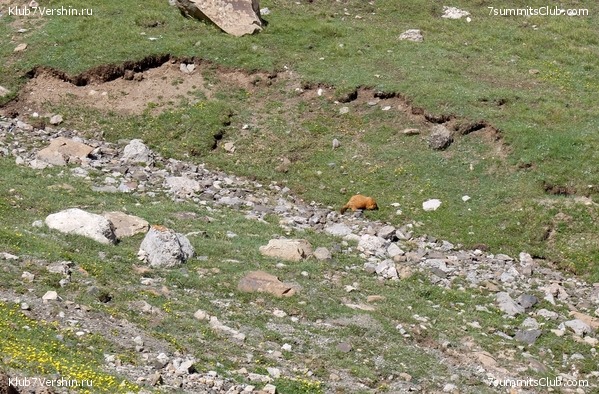 ��� ������ 2018  �� ����� ����������, ���� 10