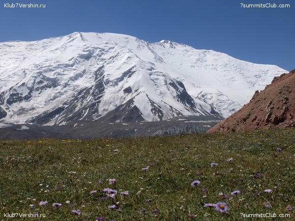 ��� ������ 2018  �� ����� ����������, ���� 227