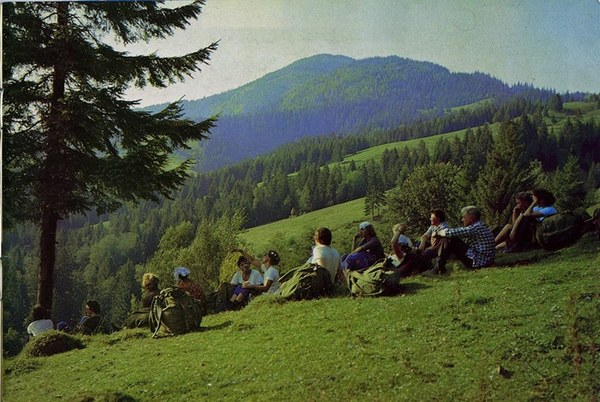 ��������, �������������� ��������, ���� 1031