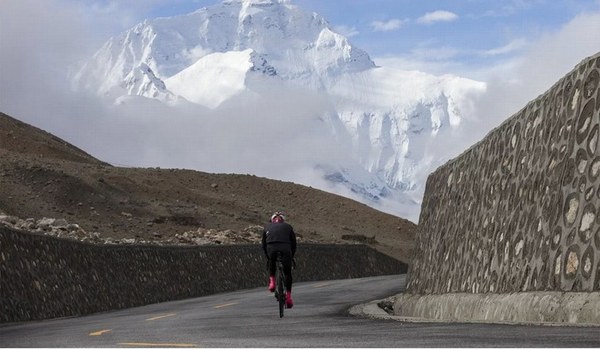 ��������, �������������� ��������, ���� 423