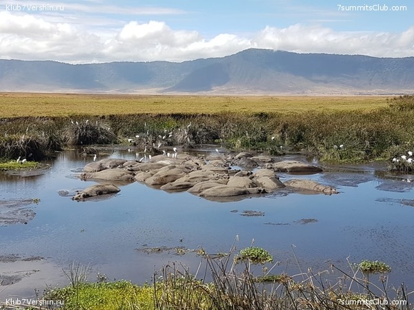 ������������ 2018. ����� ������, ���� 2