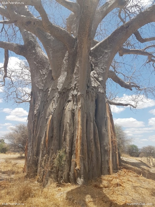 ������������ 2018. ����� ������, ���� 9