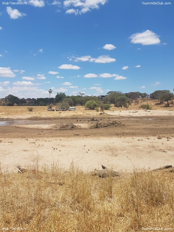 ������������ 2018. ����� ������, ���� 11