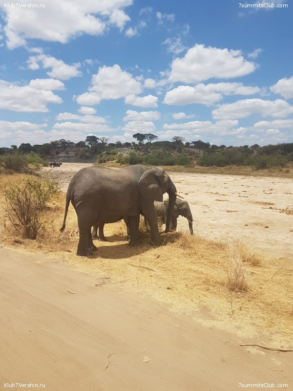 ������������ 2018. ����� ������, ���� 17