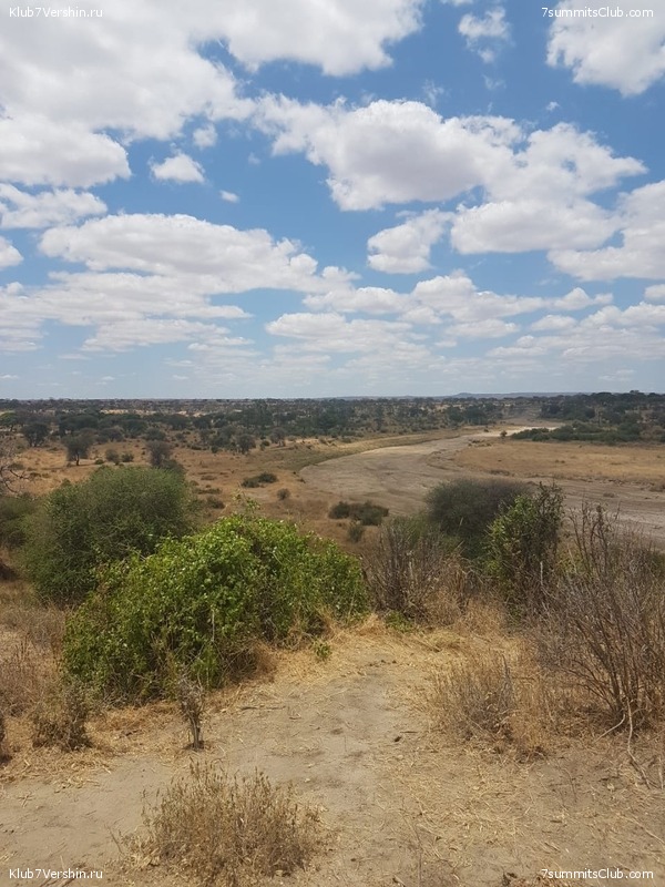 ������������ 2018. ����� ������, ���� 19