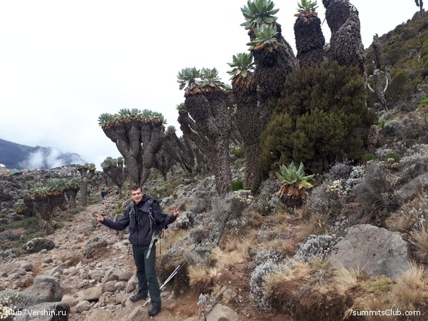 ������������. ����� 2018, ���� 24