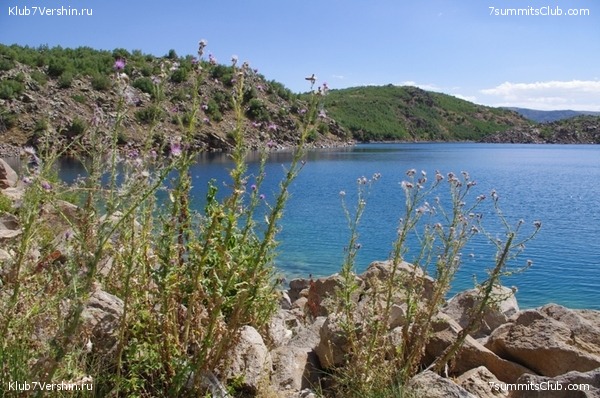 ������ ������