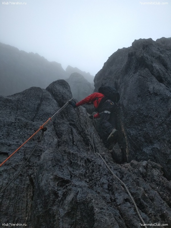 �������� ��������� 2018. ����� ������, ���� 49