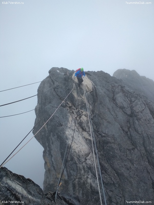 �������� ��������� 2018. ����� ������, ���� 61