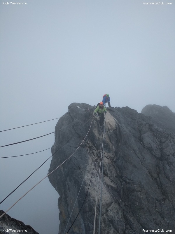 �������� ��������� 2018. ����� ������, ���� 65