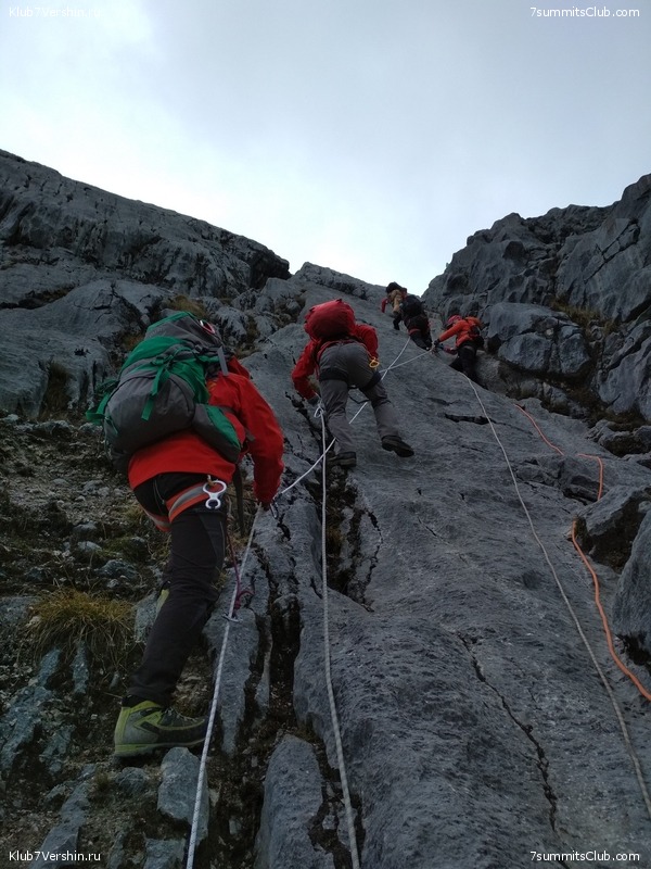 �������� ��������� 2018. ����� ������, ���� 83