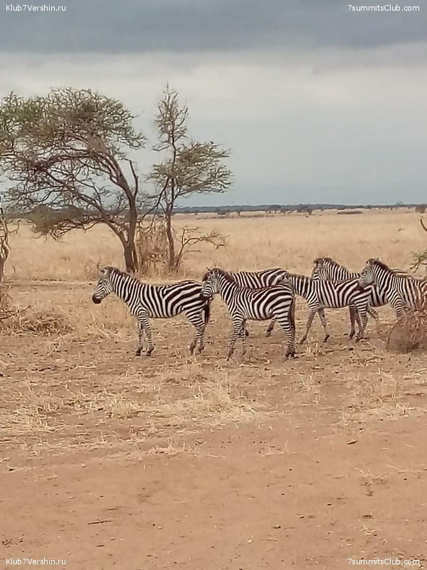 ������������. ����� 2018, ���� 42