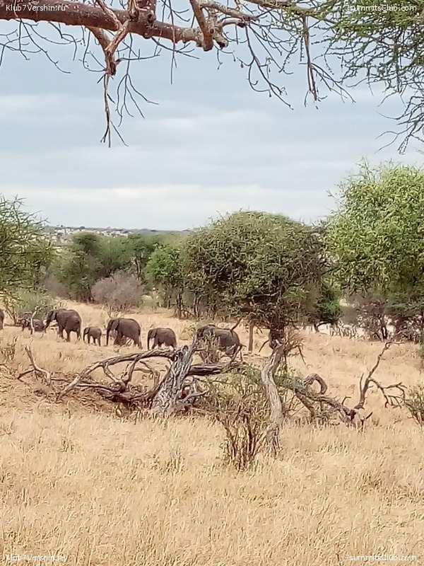 ������������. ����� 2018, ���� 43