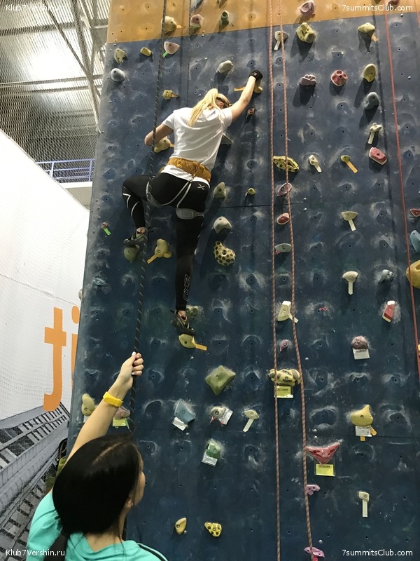 ���������� ������ ����� 2018 - 2019, ���� 81