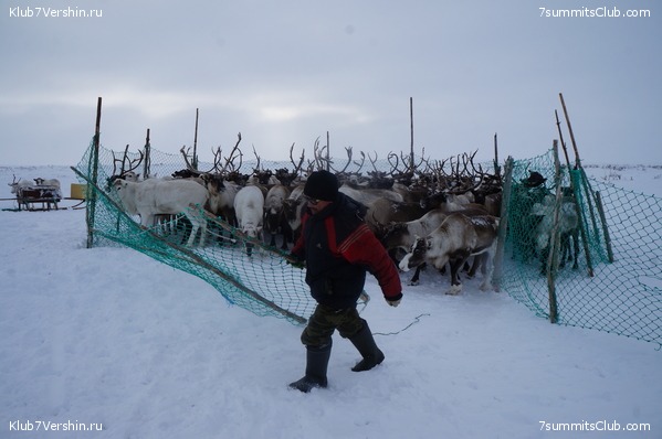 ������ ���, ���� 1