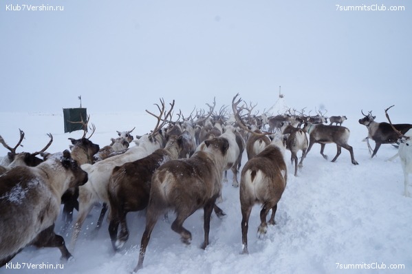 ������ ���, ���� 2