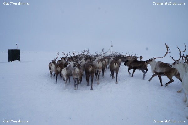 ������ ���, ���� 3