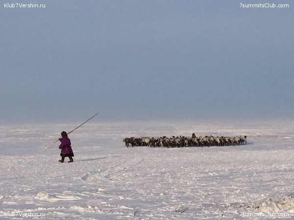 ������ ���, ���� 17