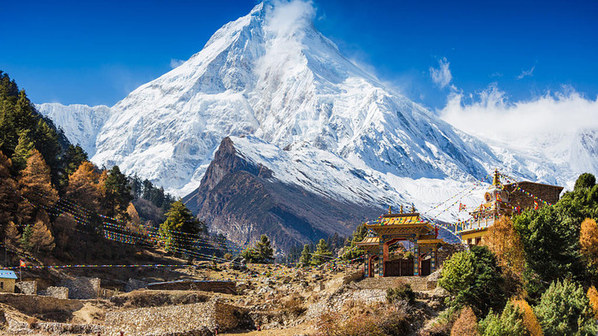 ��������, �������������� ��������, ���� 272