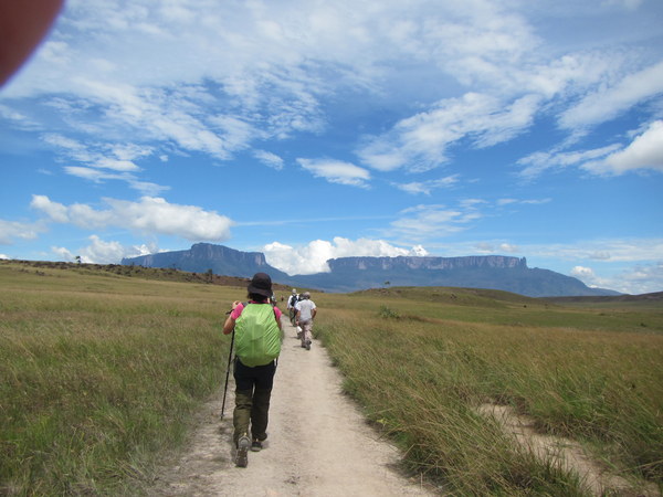 ����� �������, ���� 9