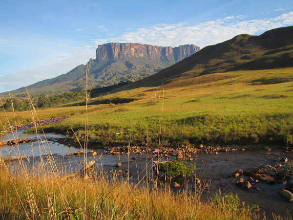 ����� �������, ���� 10