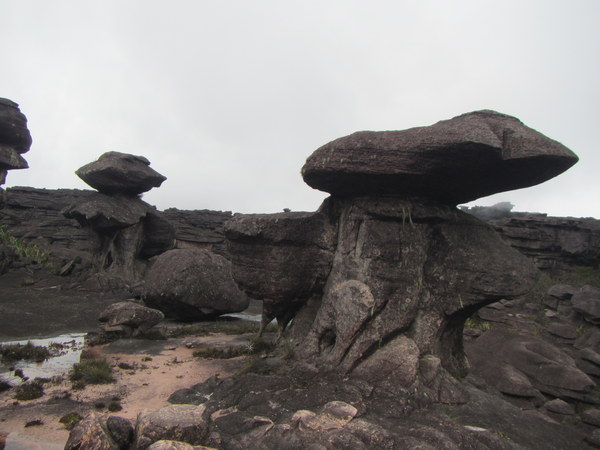 ����� �������, ���� 12