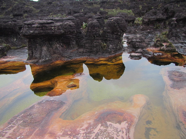 ����� �������, ���� 15