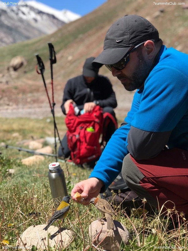 ���������. ������� 2018, ���� 182