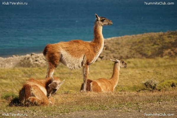 ���������� 2018 - 2019., ���� 18