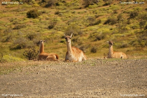 ���������� 2018 - 2019., ���� 24