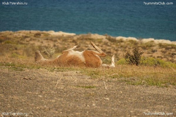 ���������� 2018 - 2019., ���� 25