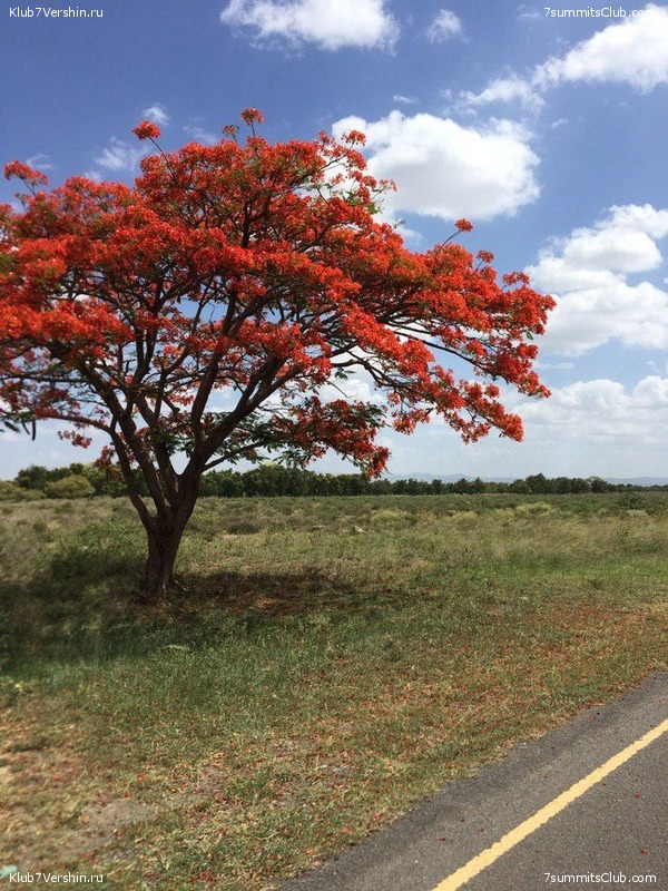 ������������ ����� ��� 2018-2019, ���� 22