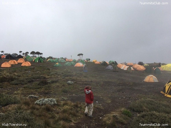 ������������ ����� ��� 2018-2019, ���� 7