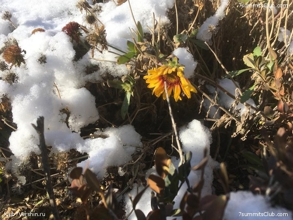 ������� ����� ���, ���� 10